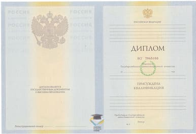 Диплом СПбГИПСР 2010-2011 годов